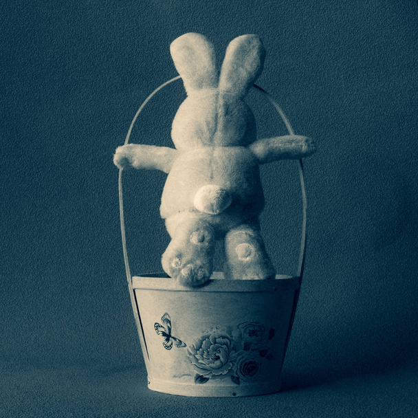 Velikonoční králík soft hračka na koš, centrální kompozici, černo bílá. - Fotografie, Obrázek