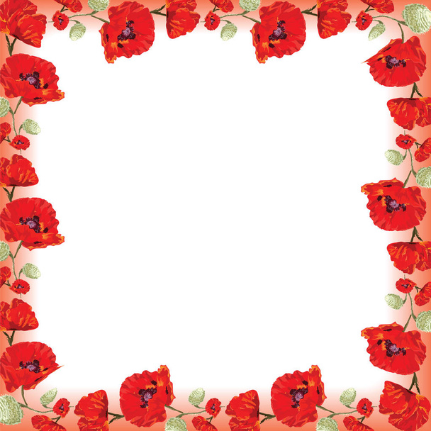 Čtvercový rám s červenými máky, vektorové na bílém pozadí, vojenská paměť - Vektor, obrázek