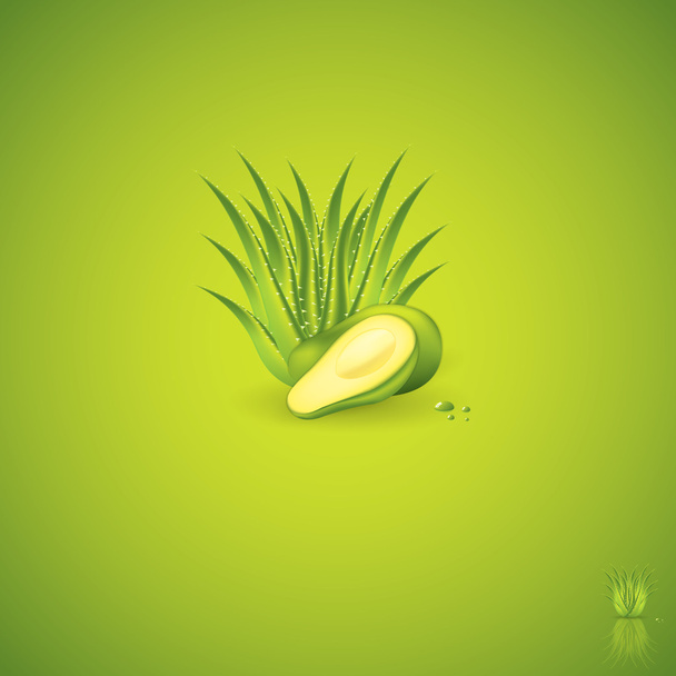 Avocado and Aloe Vera - Vector, afbeelding