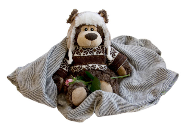 urso de brinquedo macio em um chapéu e suéter em um cobertor de lã, mantém uma caneca quente
 - Foto, Imagem