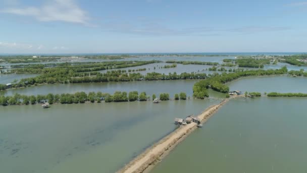 Town among the water in mangroves. - Footage, Video