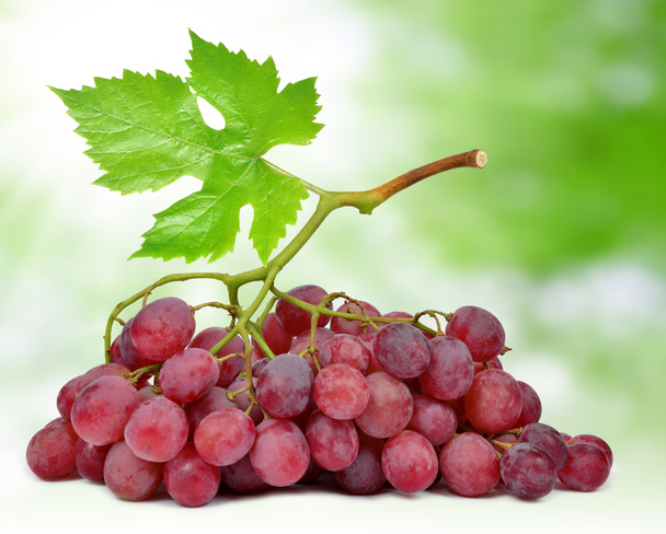 Uvas con hoja
 - Foto, imagen