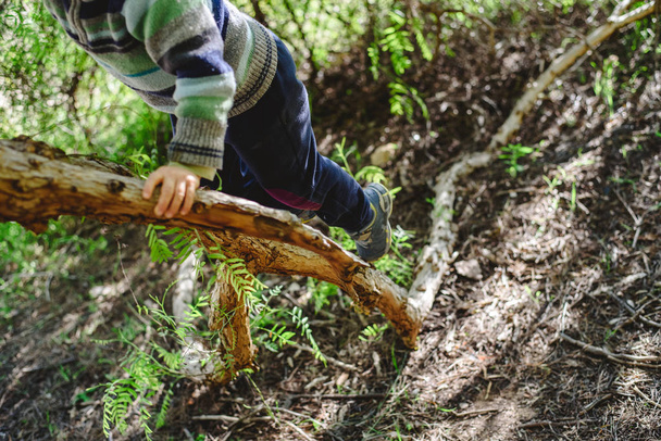 Ξανθό αγόρι προσπαθεί να σκαρφαλώσει ένα δέντρο για να ξεπεράσουν τους φόβους και να αναπτύξει την εμπιστοσύνη του. - Φωτογραφία, εικόνα