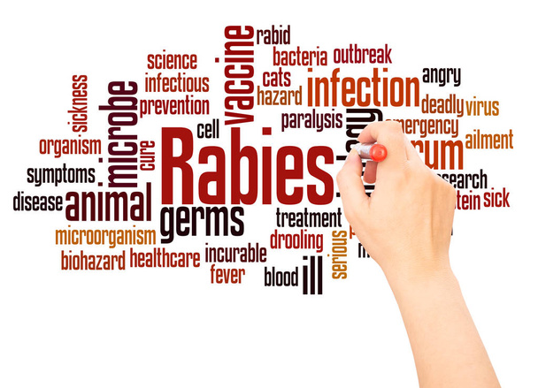 Rabies word cloud hand writing concept on white background. - Photo, Image