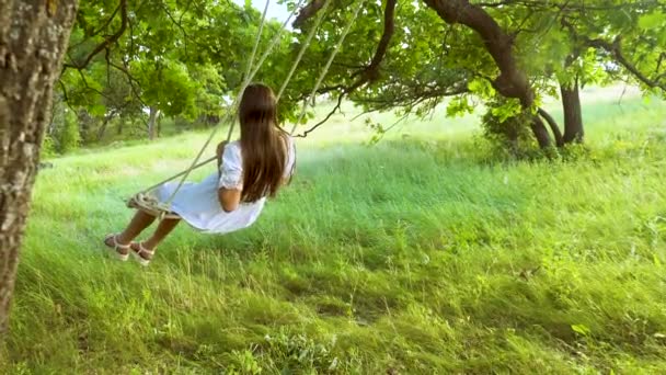 Mooi meisje met lang haar lachend swingen op een schommel in de zomer park. - Video