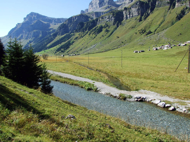 The Fatschbach stream in the beautiful Alpine valley Urner Boden - Canton of Uri, Switzerland - Photo, Image
