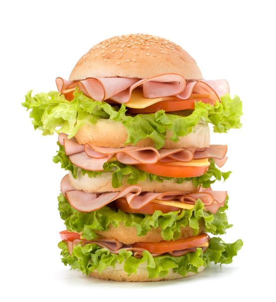 Junk food hamburger - Фото, изображение