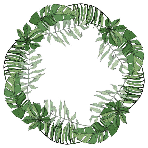 Vector Green leaf plant botanical foliage. Engraved ink art. Palm beach tree leaves. Frame border ornament square. - Vetor, Imagem