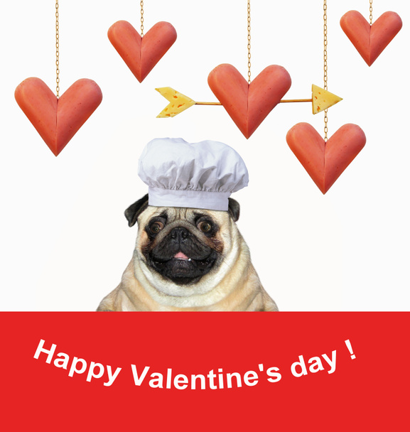 Der Hund mit Kochmütze sitzt neben lustigen herzförmigen Würstchen, die an vergoldeten Ketten hängen. fröhlicher Valentinstag. - Foto, Bild