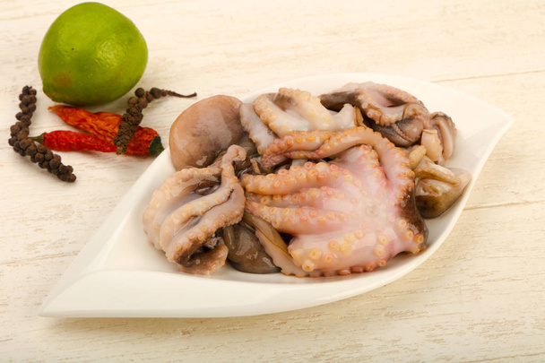 rå bläckfisk redo för matlagning - 写真・画像
