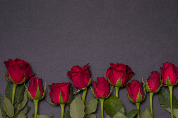 Valentinky den pozadí, bezešvé černé pozadí s červeným ohraničením růže, bezplatný výtisk textovém prostor - Fotografie, Obrázek