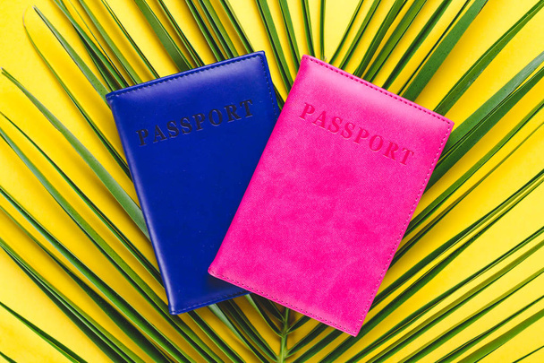 Passports and a branch of palm tree. Travel and holiday concept - Photo, image