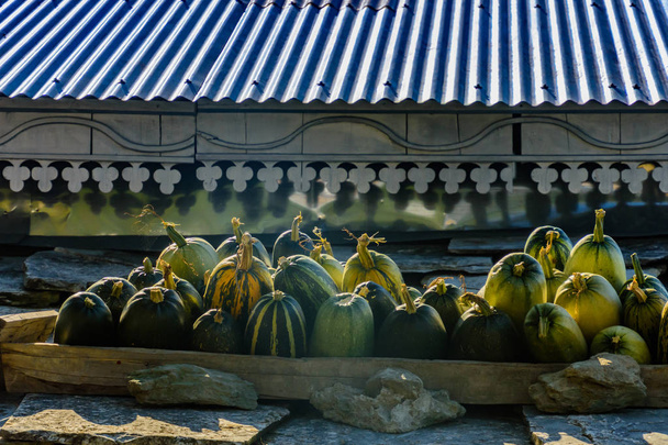 Harvested pumpkins on roof of a village. - Photo, Image