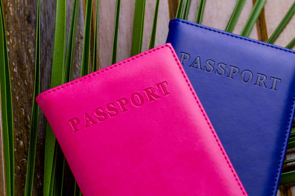 Passports and a branch of palm tree. Travel and holiday concept - Фото, изображение