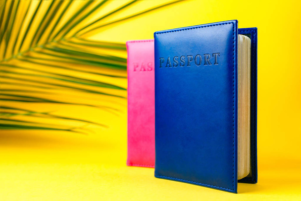 Passports and a branch of palm tree. Travel and holiday concept - Photo, image