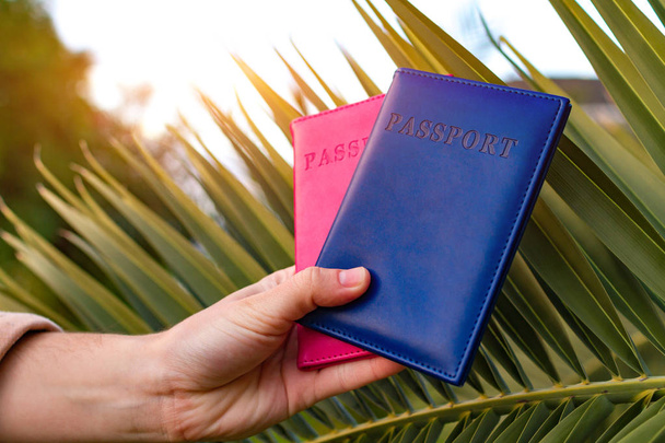 Passports of tourists, travelers on the background of a palm tree branch at sunset. Vacation, travel concept - Photo, image