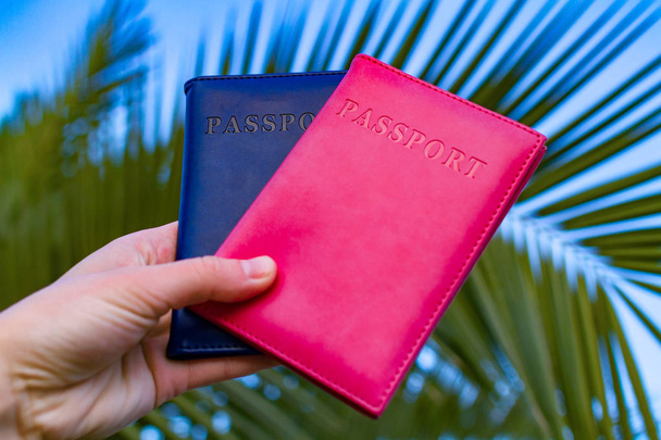 Passports of tourists, travelers on the background of a palm tree branch. Vacation, travel concept - Photo, image