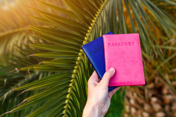 Passports of tourists, travelers on the background of a palm tree branch at sunset. Vacation, travel concept - Photo, Image