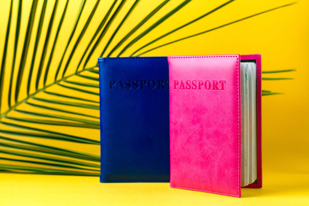 Passports and a branch of palm tree. Travel and holiday concept - Foto, Imagem