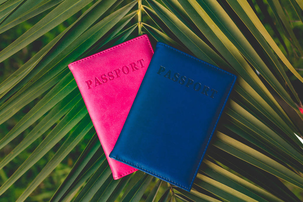 Passports of tourists, travelers on the background of a palm tree branch. Vacation, travel concept - Fotoğraf, Görsel