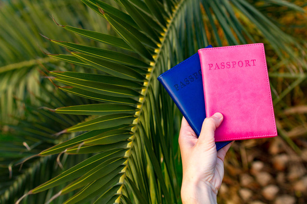 Passports of tourists, travelers on the background of a palm tree branch. Vacation, travel concept - 写真・画像