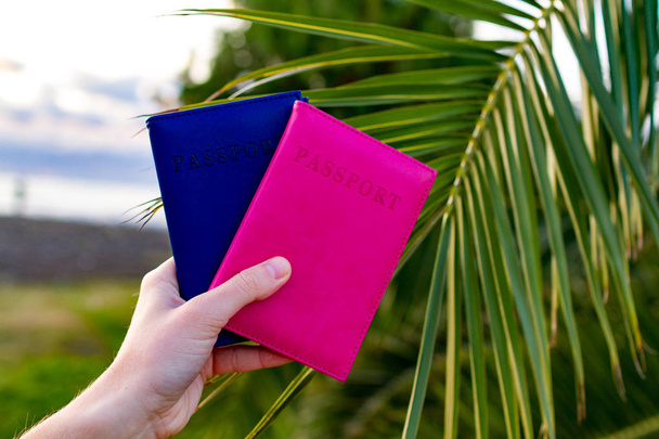 Passports of tourists, travelers on the background of a palm tree branch. Vacation, travel concept - Photo, image