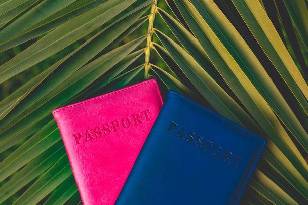 Passports of tourists, travelers on the background of a palm tree branch. Vacation, travel concept - Foto, Imagem