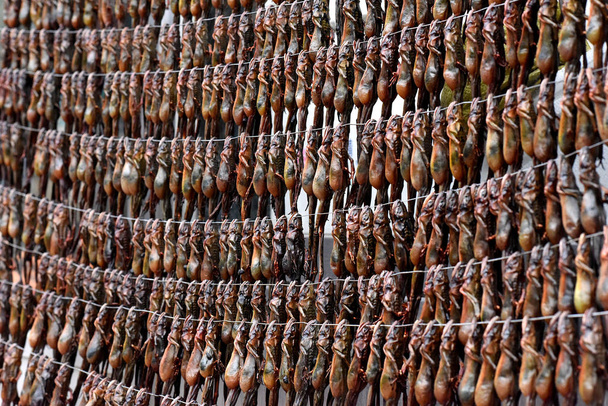 Las ranas del bosque hembra vivas están siendo secadas hasta la muerte bajo el sol por aceite de hasma frente a una tienda de comestibles en la montaña Changbai en la provincia de Jilin, al noreste de China, 7 de noviembre de 2017
 - Foto, imagen