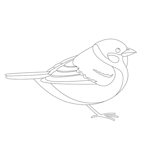 sparrow bird , vector illustration ,  lining draw , profile  - Vector, Image