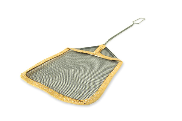 Classic Fly Swatter - Photo, Image