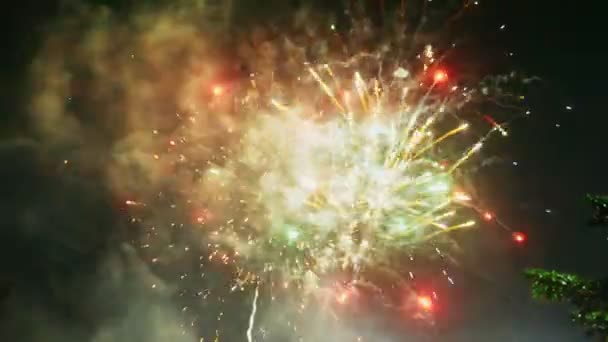Abstract colored fireworks in the night sky. background copy space - Footage, Video