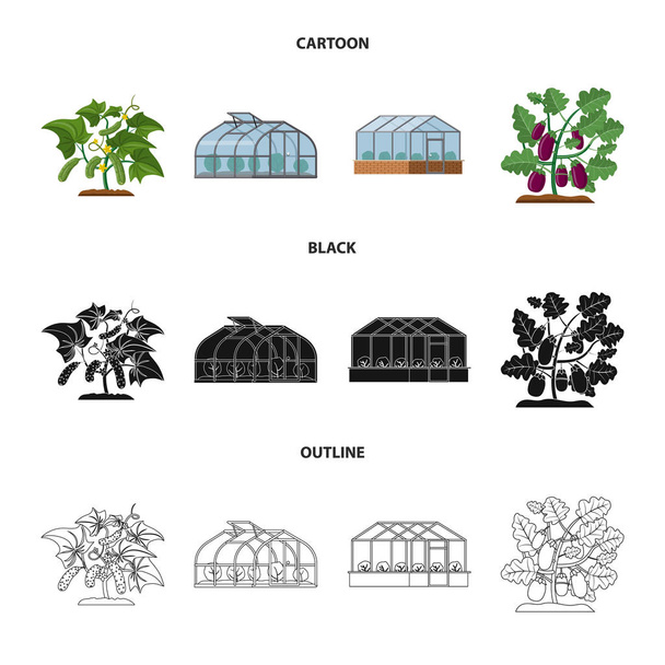 Sera ve bitki logo vektör Illustration. Sera ve Bahçe hisse senedi simgesi web için set. - Vektör, Görsel