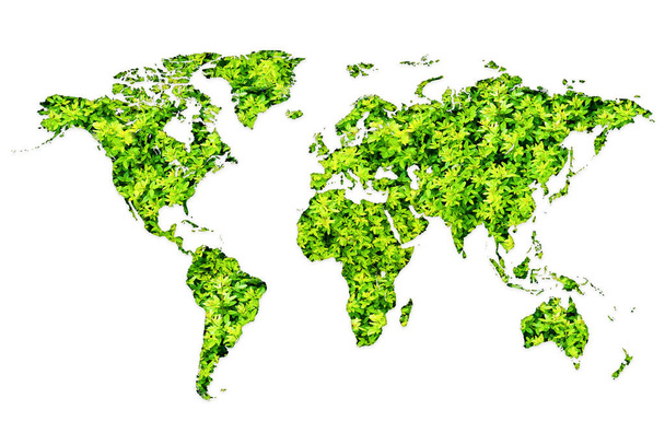 World map made of green plants on white background - Photo, Image