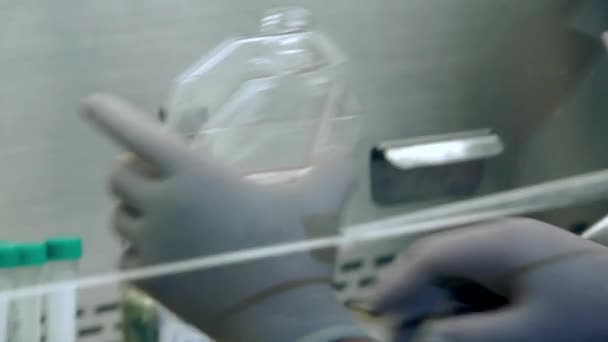 Close-up footage of a scientist using a pipette in a laboratory. - Video, Çekim