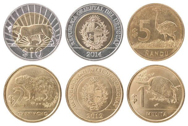 Full set of coins Uruguay isolated on white background - Photo, Image