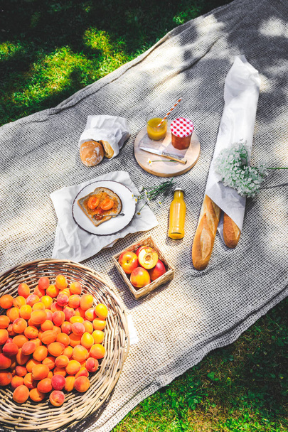 Assortment of food for picnic on beige plaid. Plate with apricots, little jar with jam , variety of bread, glace of juice. Cozy summer breakfast. - Φωτογραφία, εικόνα