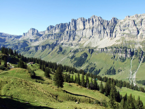 Coniferous forests in the Alpine Valley Urner Boden - Canton of Uri, Switzerland - Foto, Imagen