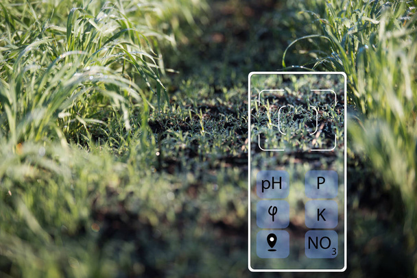 With the help of a smartphone determine the state of the soil (acidity, humidity, phosphorus, potassium, nitrate nitrogen). Technologies in agriculture. - Photo, Image