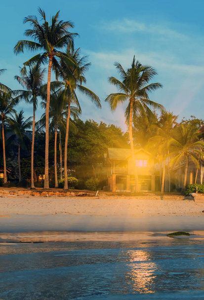 Primavera Bellissimo tramonto tropicale sulla spiaggia ora legale
 - Foto, immagini