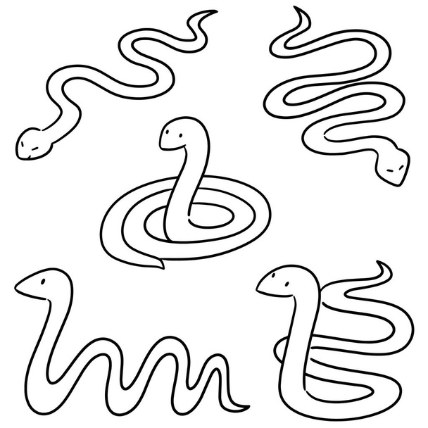 векторный набор змей - Вектор,изображение