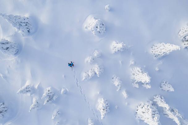 Vue aérienne du marcheur en raquettes dans la forêt d'épinettes neigeuses. Loisirs d'hiver en plein air et sports extrêmes
. - Photo, image