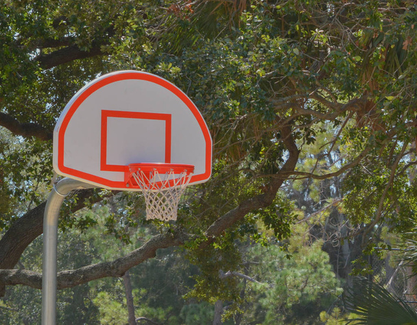 フロリダ州ラルゴの外裁判所のバスケット ボール フープ - 写真・画像