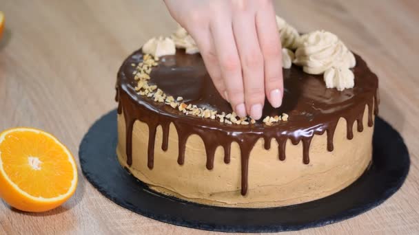 Vrouwelijke hand ingericht de taart met gehakte hazelnoten. - Video