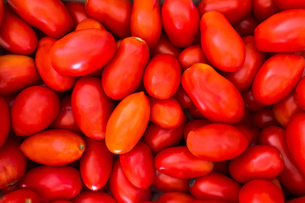 Delicious fresh raw Italian San Marzano tomatoes texture background. - Фото, изображение