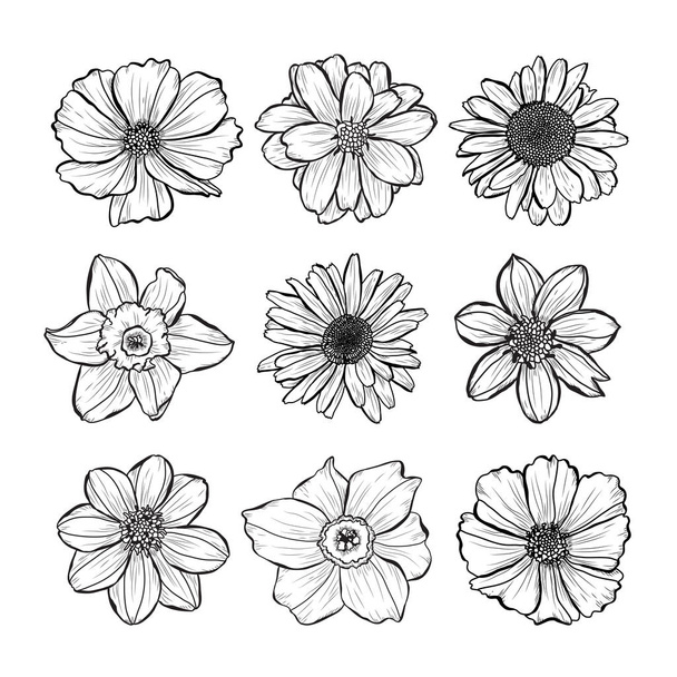 Decorative hand drawn flowers set, design elements. Can be used for cards, invitations, banners, posters, print design. Floral background in line art style - Διάνυσμα, εικόνα