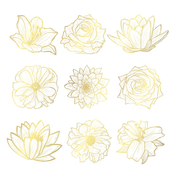 Decorative hand drawn flowers, design elements. Can be used for cards, invitations, banners, posters, print design. Golden flowers - Vector, Imagen