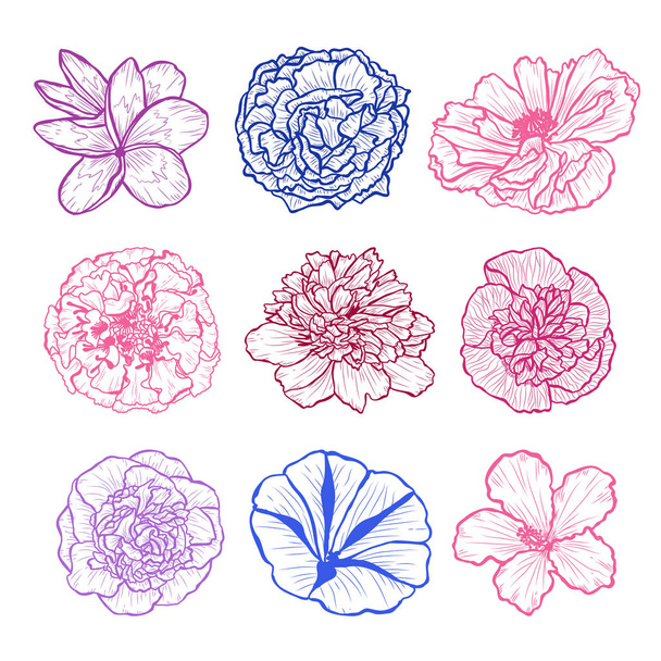 Decorative hand drawn flowers set, design elements. Can be used for cards, invitations, banners, posters, print design. Floral background in line art style - Διάνυσμα, εικόνα