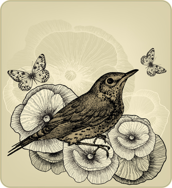 Background with poppy flowers and bird fieldfare, hand-drawing. - Vecteur, image