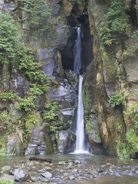 Salto do Cabrito belle cascade au sentier de randonnée tombant d'une grotte rocheuse dans la forêt verte, Sao Miguel, Açores, Portugal
 - Photo, image