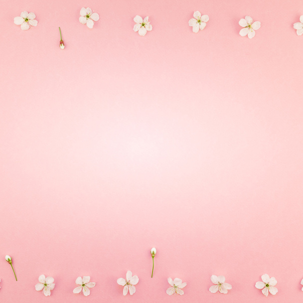 創造的な平面図桜咲く花フレーム ミニマル スタイル、文字、テキスト、またはあなたのデザインのテンプレート コピー スペースと千年のピンクの背景のパターン - 写真・画像